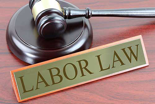 Employment & Labour Law Advice